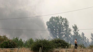 Última hora de los incendios en España, en directo: focos activos en ...