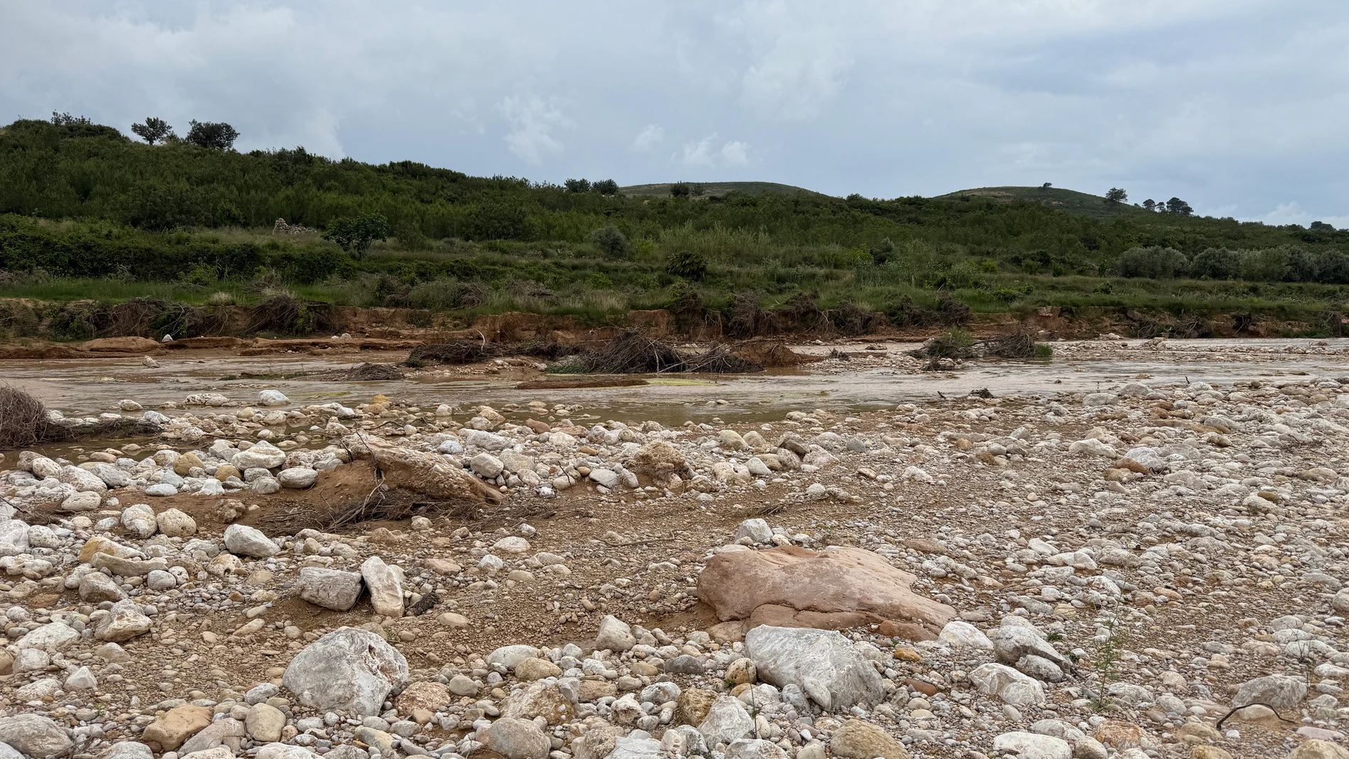 Esto antes de la dana era un campo de 600 árboles de caqui en Turís (Valencia)