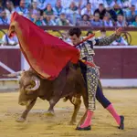 Toros en Huesca