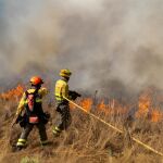El incendio de gravedad 2 de Canalejas (León) obliga a evacuar tres localidades en Palencia