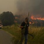 Incendio forestal