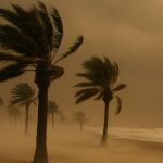 Vientos huracanados en la costa de Granada
