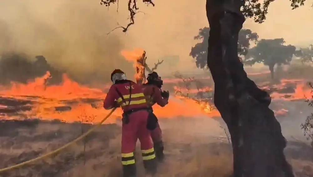 Avance del incendio forestal de Jarilla (Cáceres)