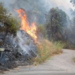Ola de solidaridad tras los incendios: campañas en GoFundMe buscan ayudar a los afectados por el fuego