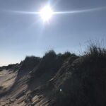 La Comunitat Valenciana registra 216 muertes atribuibles al calor en lo que va de verano, 26 en la última semana