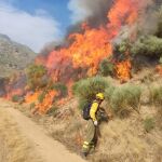 El incendio de Jarilla (Cáceres) entra ya en Castilla y León por Candelario (Salamanca)