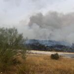19 dotaciones de bomberos trabajan en un incendio de pasto en Colmenar Viejo