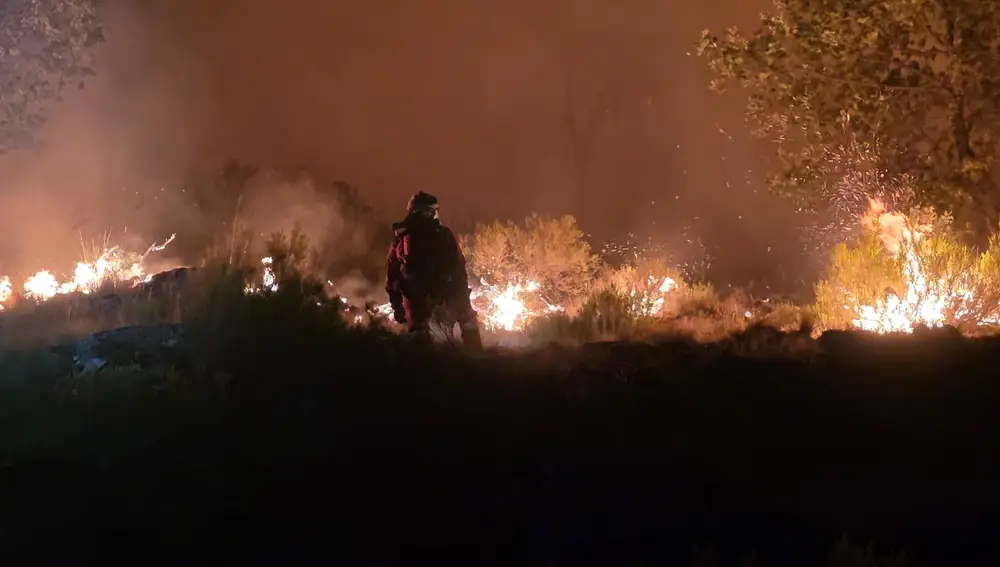 Incendio de Jarilla (Cáceres): Arrasadas más de 11.000 hectáreas