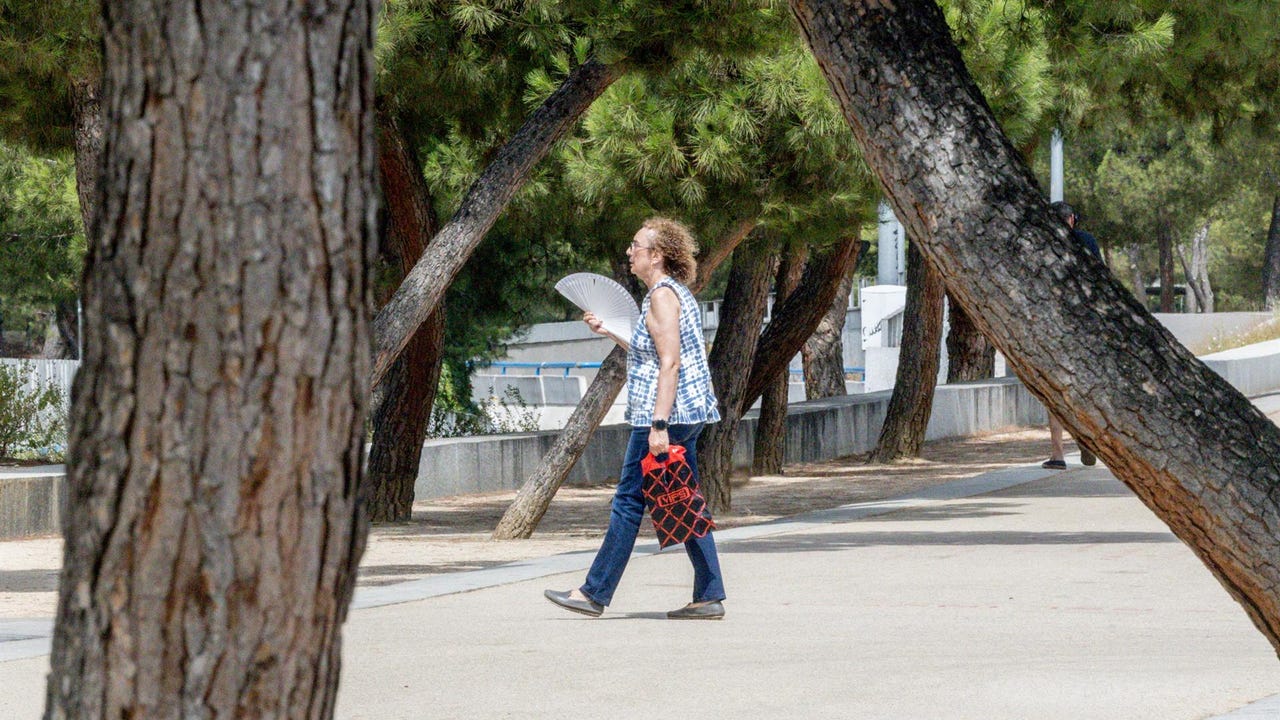 El calor no da un respiro este sábado en la Región de Murcia