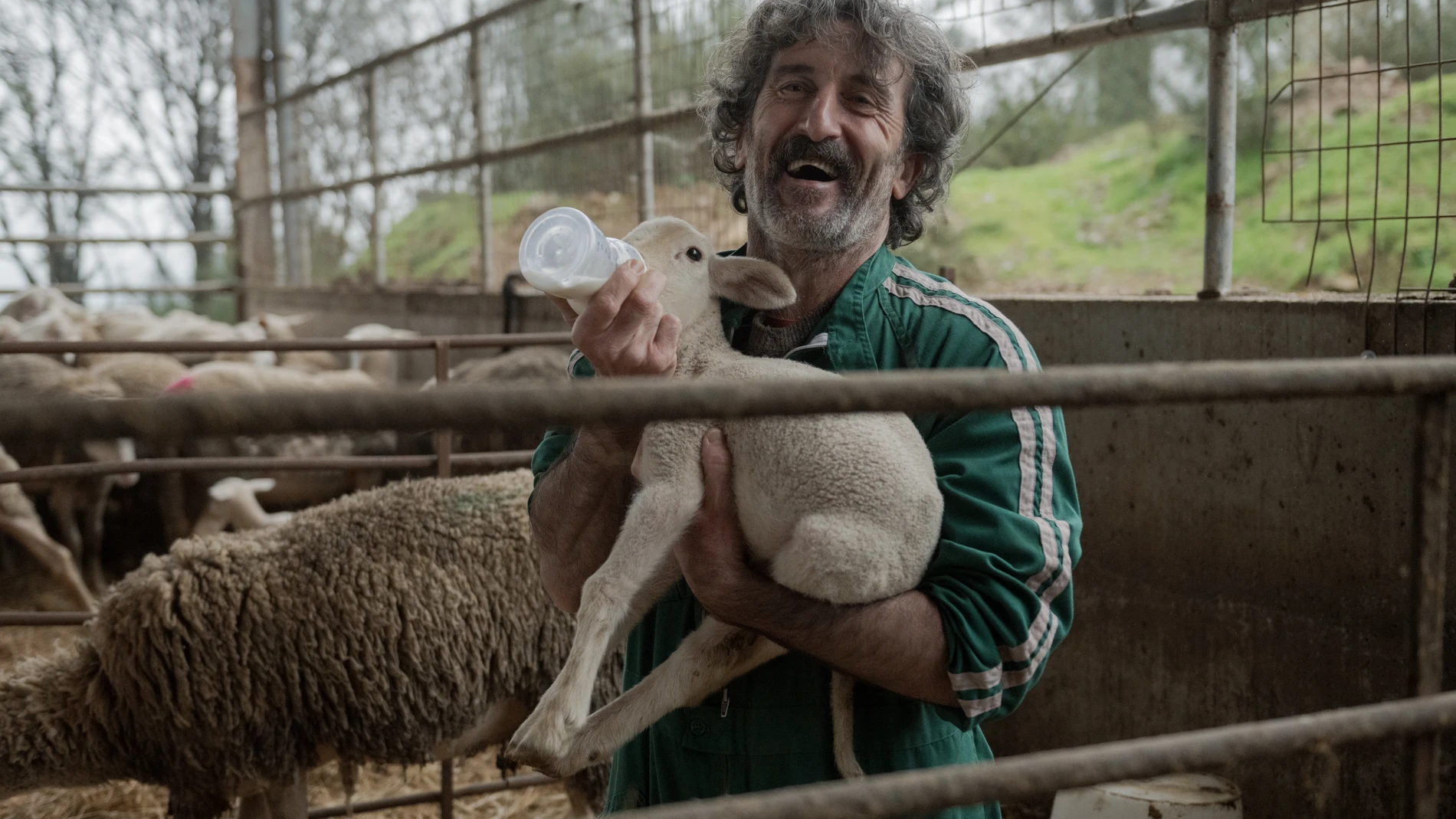 Luis Zahera se convierte en veterinario en 'Animal', la nueva comedia de Netflix