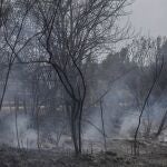 Cataluña sale de la alerta máxima por riesgo de incendios y reabre espacios naturales