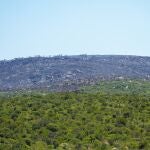 La despoblación, un fenómeno que avanza de manera rápida, es un factor que agrava la proliferación de incendios forestales