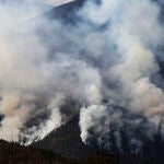 Los incendios rebajan la presión en Castilla y León, pendiente de Sanabria y norte de León