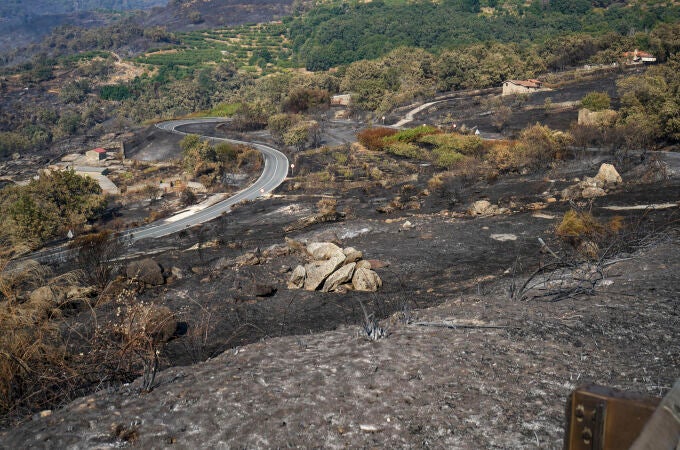 Zonas afectadas en Cabezabellos por el incendio de Jarilla (Cáceres)