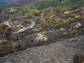 Zonas afectadas en Cabezabellos por el incendio de Jarilla (Cáceres) CABEZABELLOSA (CÁCERES), 20/08/2025.- Áreas calcinadas en la localidad cacereña de Cabezabellos por el incendio de Jarilla (Cáceres), cuyo avance se ha logrado contener pues en los dos últimos días ha ido quemando "de 500 en 500 hectáreas", mucho menos que en jornadas anteriores, pero hoy el viento vuelve a complicar las tareas de extinción. EFE/EDUARDO PALOMO