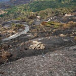 Zonas afectadas en Cabezabellos por el incendio de Jarilla (Cáceres)