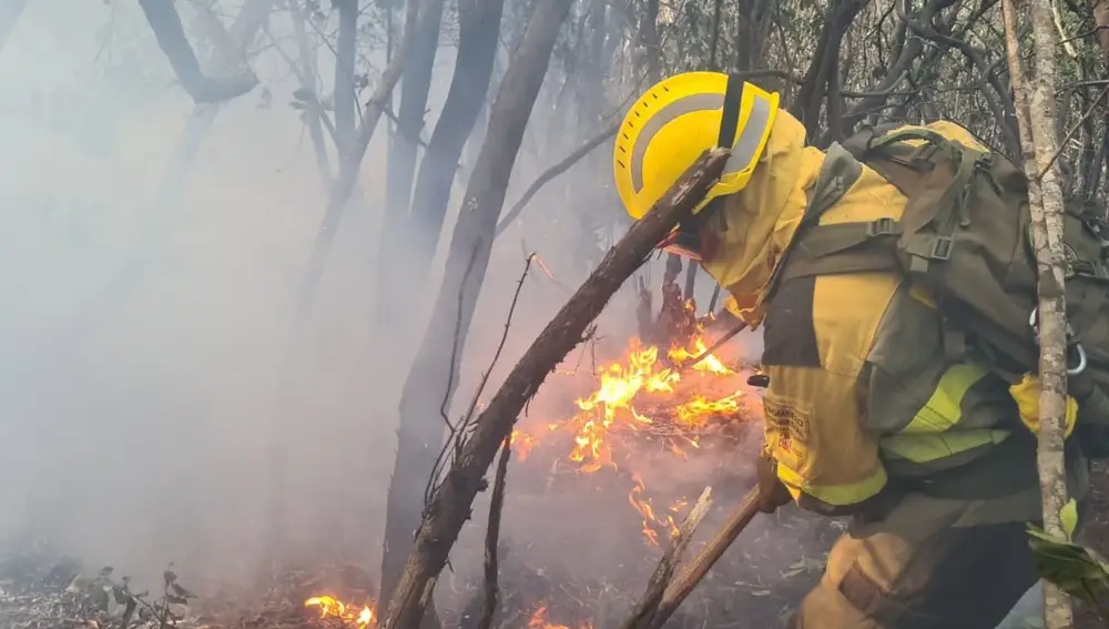 Bomberos de la BRIF trabajan en un incendio
