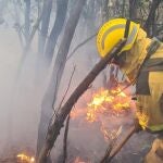 Bomberos de la BRIF trabajan en un incendio