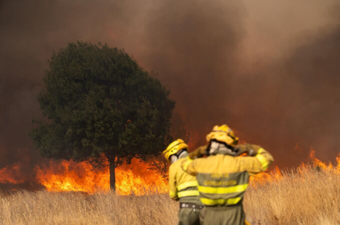 Última hora de los incendios en España, en directo: focos activos y evacuados en Castilla y León, Galicia y Extremadura