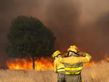 Última hora de los incendios en España, en directo: focos activos y evacuados en Castilla y León, Galicia y Extremadura Última hora de los incendios en España, en directo: focos activos y evacuados en Castilla y León, Galicia y Extremadura
