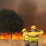Última hora de los incendios en España, en directo: focos activos y evacuados en Castilla y León, Galicia y Extremadura