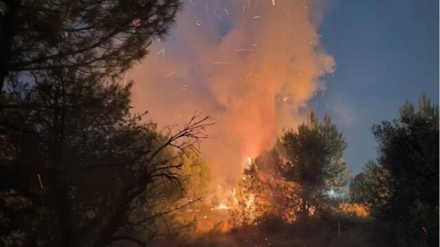 Arganda.- Detenido el presunto autor de los tres conatos de incendio sofocados este martes en el municipio