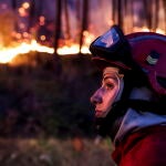 Los incendios forestales afectan a más de 201 000 hectáreas en Portugal