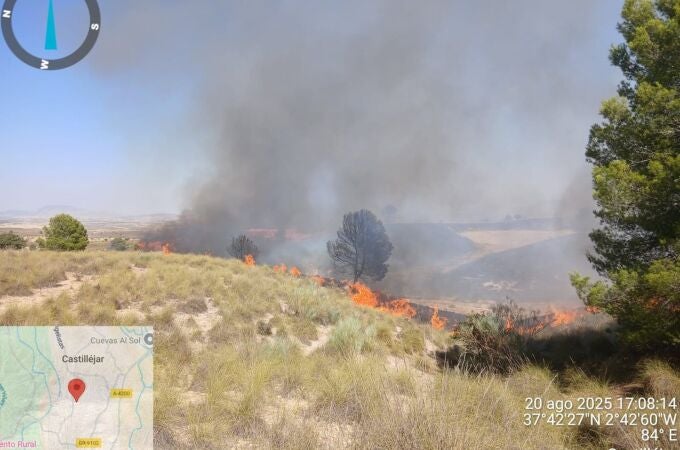 Zona afectada por el incendio.