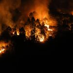 La Fiscalía investiga si los municipios más afectados por los incendios cuentan con planes de prevención