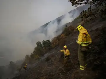 Incendios forestales en España, en directo hoy: focos activos y última hora en Castilla y León, Galicia y Extremadura Incendios forestales en España, en directo hoy: focos activos y última hora en Castilla y León, Galicia y Extremadura