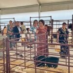 Jaén.- Expohuelma celebra 40 años como "referente nacional" de desarrollo rural y ganadero