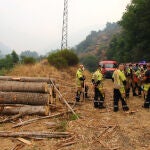 Trabajos de extinción de incendios en la provincia de León