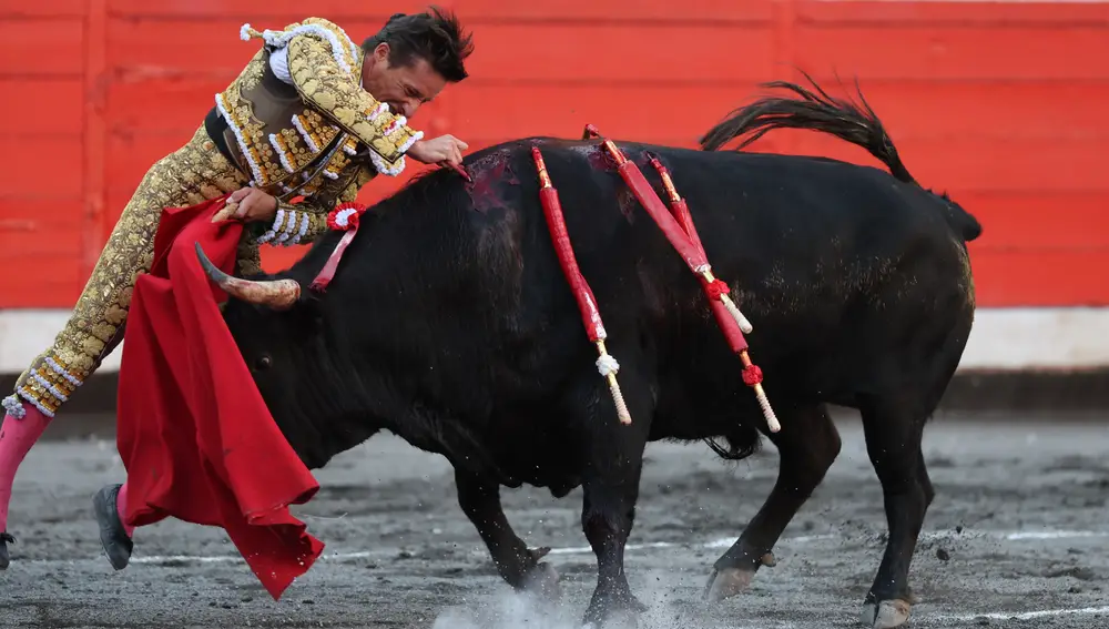 Toros en Bilbao