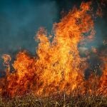 Incendios forestales en España, en directo hoy: focos activos y última hora en Castilla y León, Galicia y Extremadura