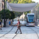 El Ayuntamiento de Sevilla instala los primeros toldos en la Avenida de la Constitución