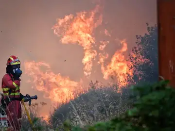 Incendios forestales en España, en directo hoy: focos activos y última hora en Castilla y León, Galicia y Extremadura Incendios forestales en España, en directo hoy: focos activos y última hora en Castilla y León, Galicia y Extremadura