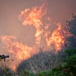 Incendios forestales en España, en directo hoy: focos activos y última hora en Castilla y León, Galicia y Extremadura
