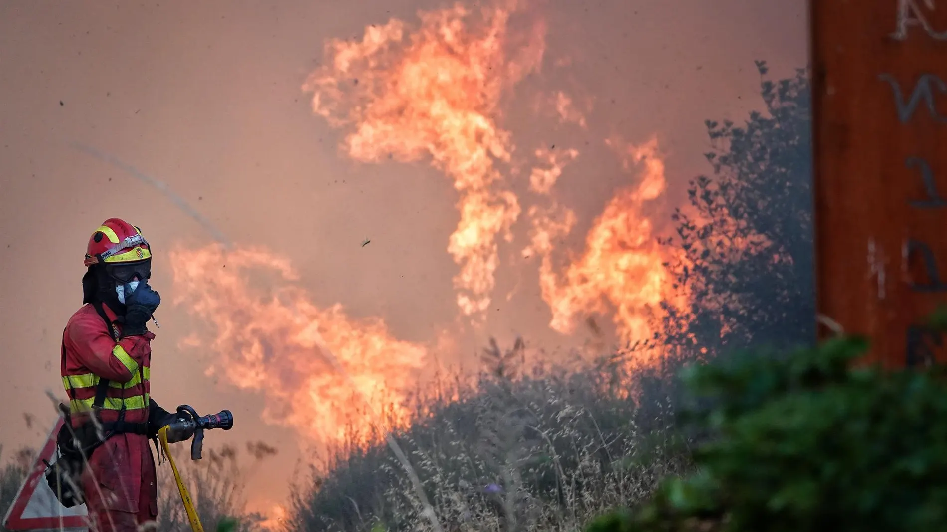 Incendios forestales en España, en directo hoy: focos activos y última hora en Castilla y León, Galicia y Extremadura