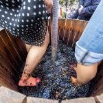Ribera del Duero celebra la VIII Gran Fiesta de la Vendimia 