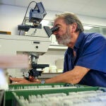  El neurocientífico Salvador Martínez, científico principal del estudio