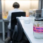 Salud detecta circulación del virus del Nilo en mosquitos en La Puebla del Río (Sevilla), Pulpí y Mojácar (Almería)