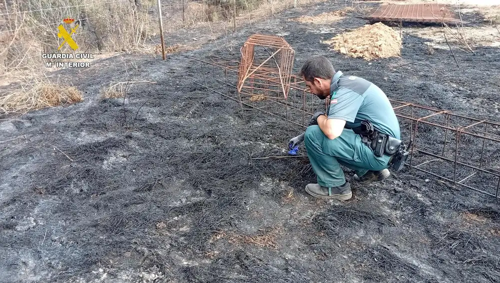 Sucesos.- El Seprona asume las pesquisas del incendio de s'Albufera que se investiga como intencionado
