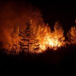Incendio de gravedad en Moronta (Salamanca)