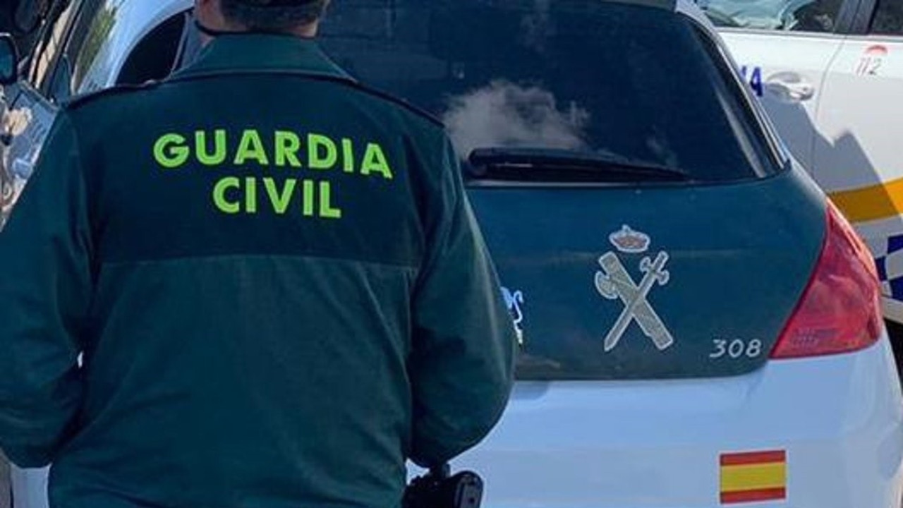 Detenido un hombre por cultivar plantas de marihuana de dos metros y medio en Fuentesbuenas