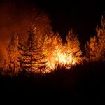 Evolución favorable en Castilla y León, pese a que aún siguen ocho incendios en nivel 2 y 4 de grado 1, junto a 13 activos