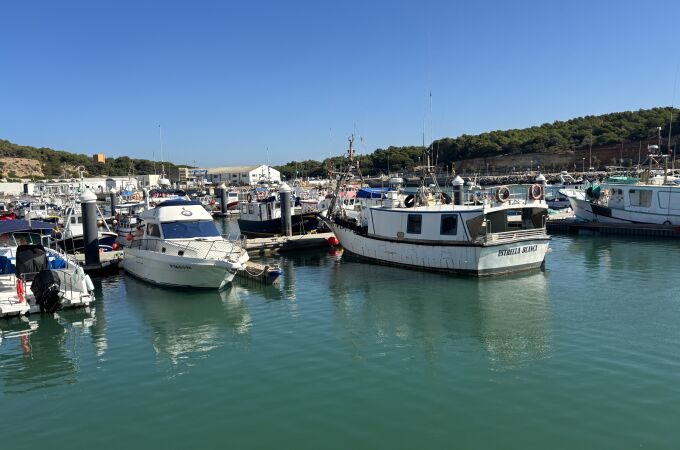 El alga asiática asfixia a la flota pesquera de Cádiz