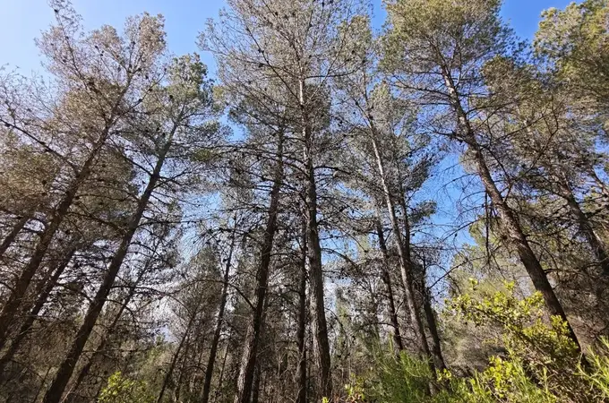 Madrid vaticina un frenazo industrial en cinco años por la política energética del Gobierno Madrid vaticina un frenazo industrial en cinco años por la política energética del Gobierno
