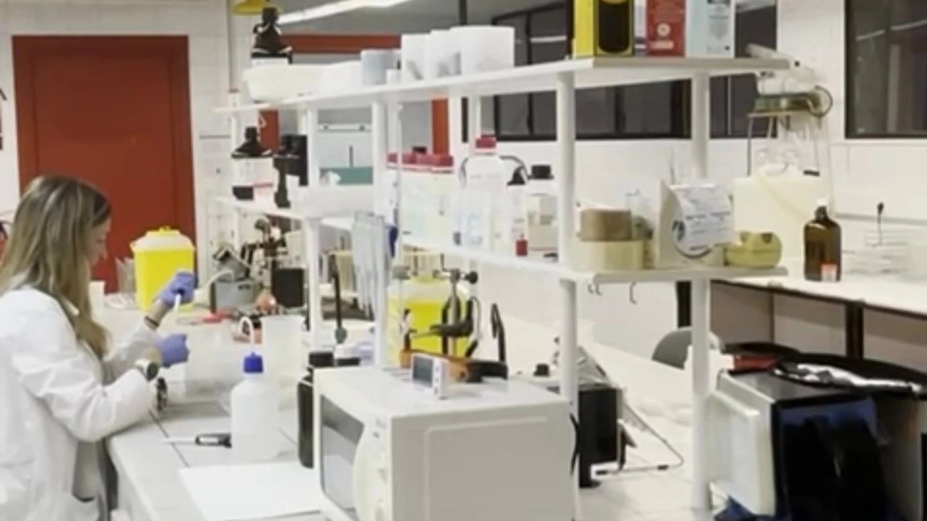 El Laboratorio Municipal de Murcia, dependiente de la Concejalía de Bienestar Social, Familia y Salud