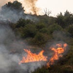 Fuego en el monte en Molinaseca