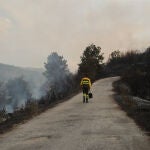 Voluntarios y profesionales en el incendio de Molinaseca